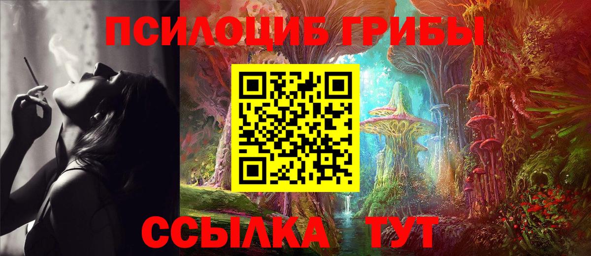 купить  цена  Галлюциногенные грибы MAGIC MUSHROOMS  Вход с VPN  Зеленодольск 