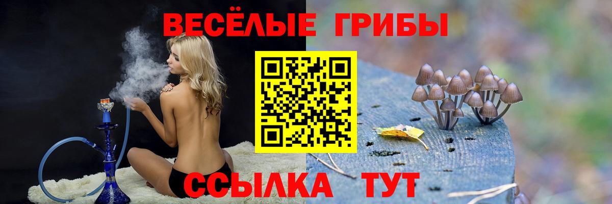 Галлюциногенные грибы GOLDEN TEACHER Зеленодольск